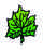 Figure: acanthus_1