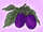 Figure: egg-plant