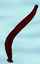 Figure: leech 1