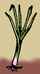 Figure: leek a