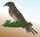 Figure: magpie-1