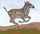 Figure: onager-1