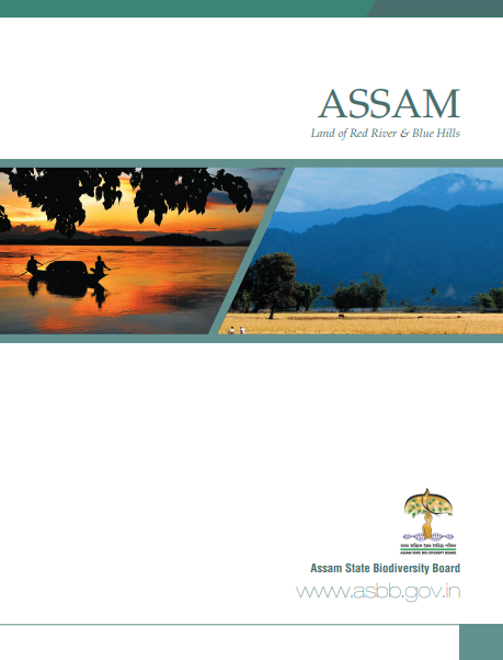 Assam Land of Red River and Blue Hills